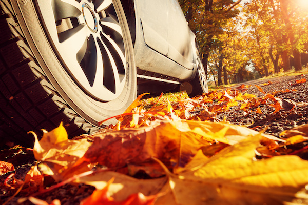 Fall Car Care